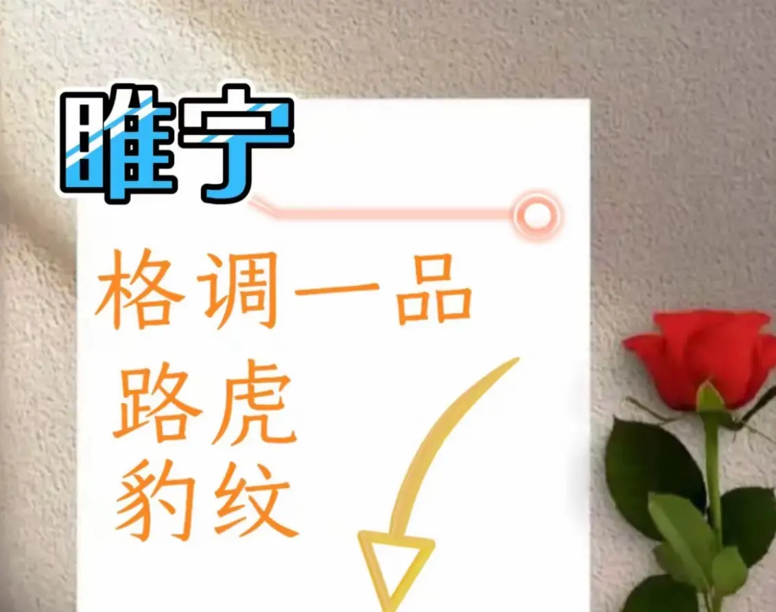 SEO关键词提取-资源截图