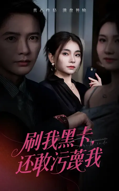 《刷我黑卡还敢污蔑我》-资源截图