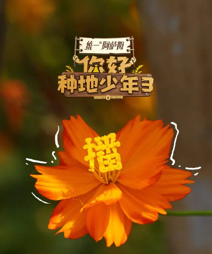 《你好种地少年第三季》-资源截图