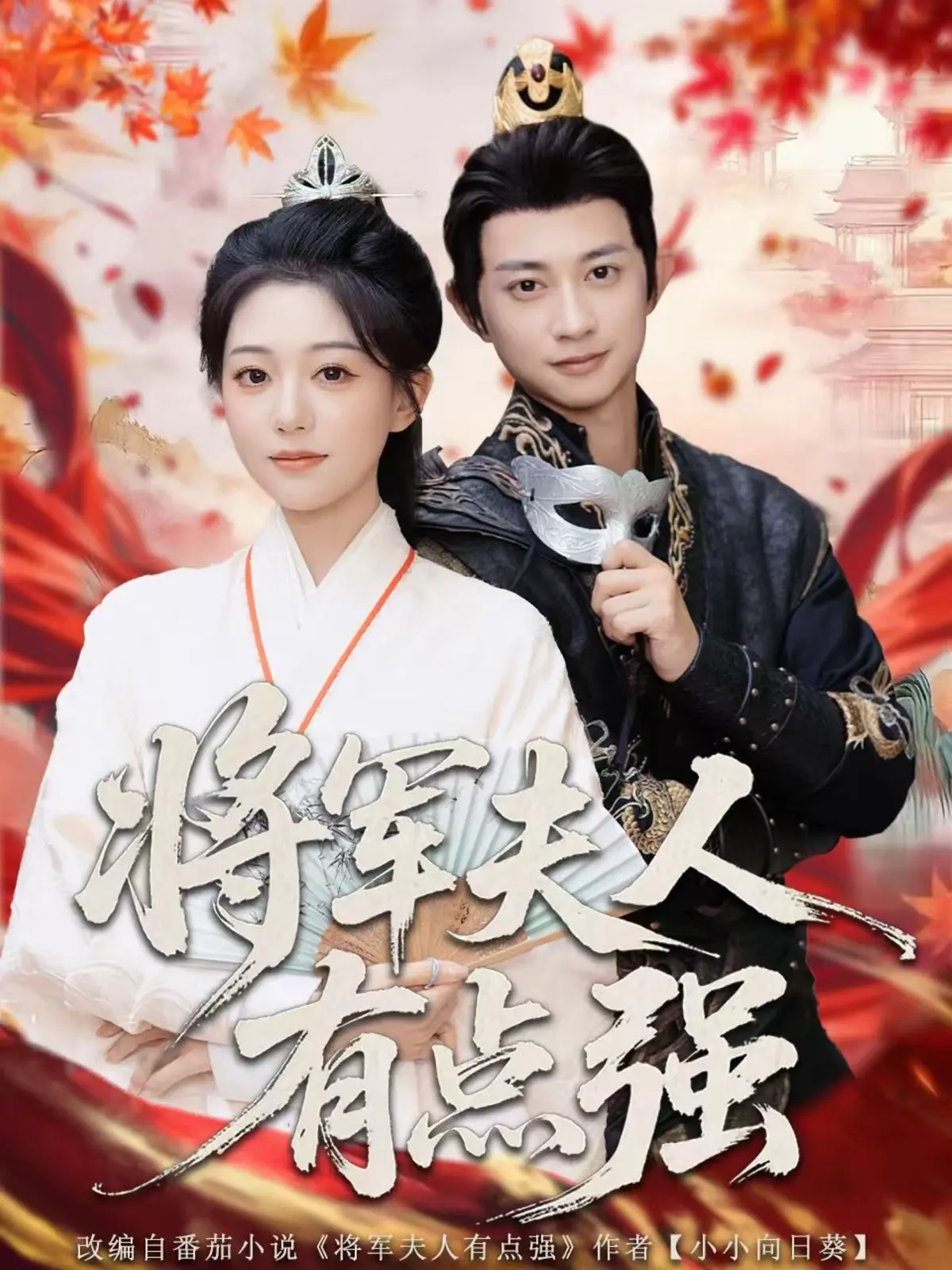 《将军夫人有点强》-资源截图