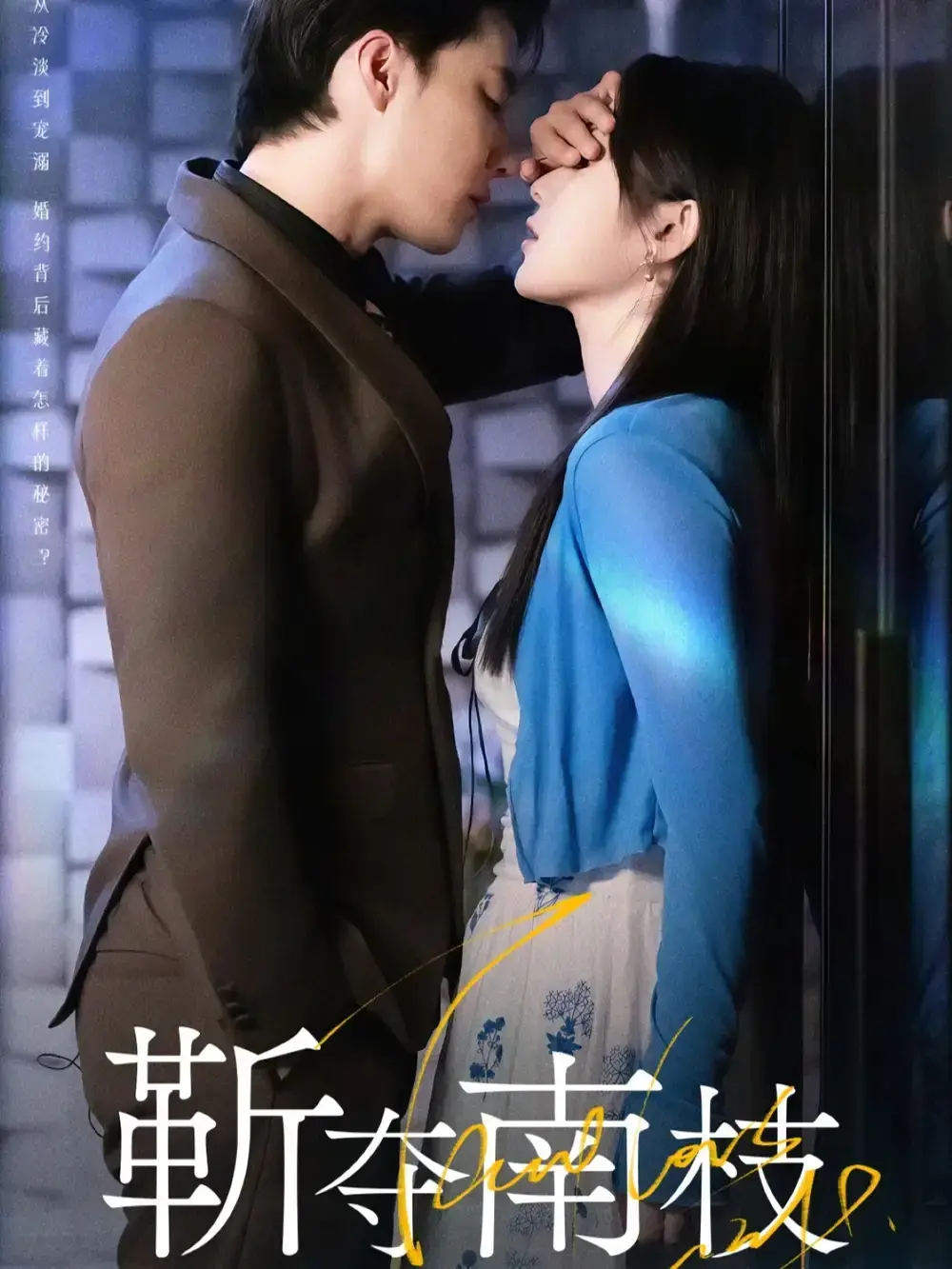 《靳夺南枝》-资源截图