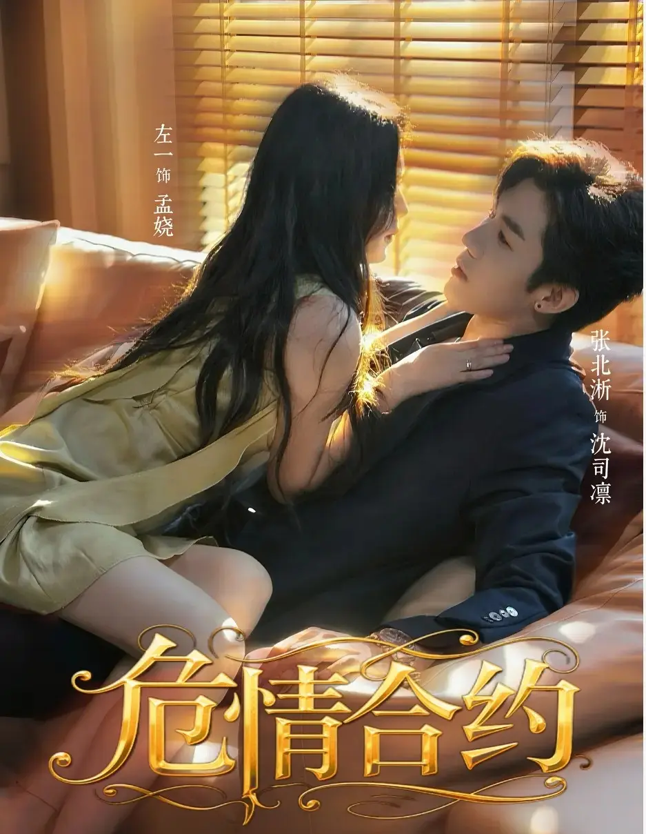 《危情合约》-资源截图