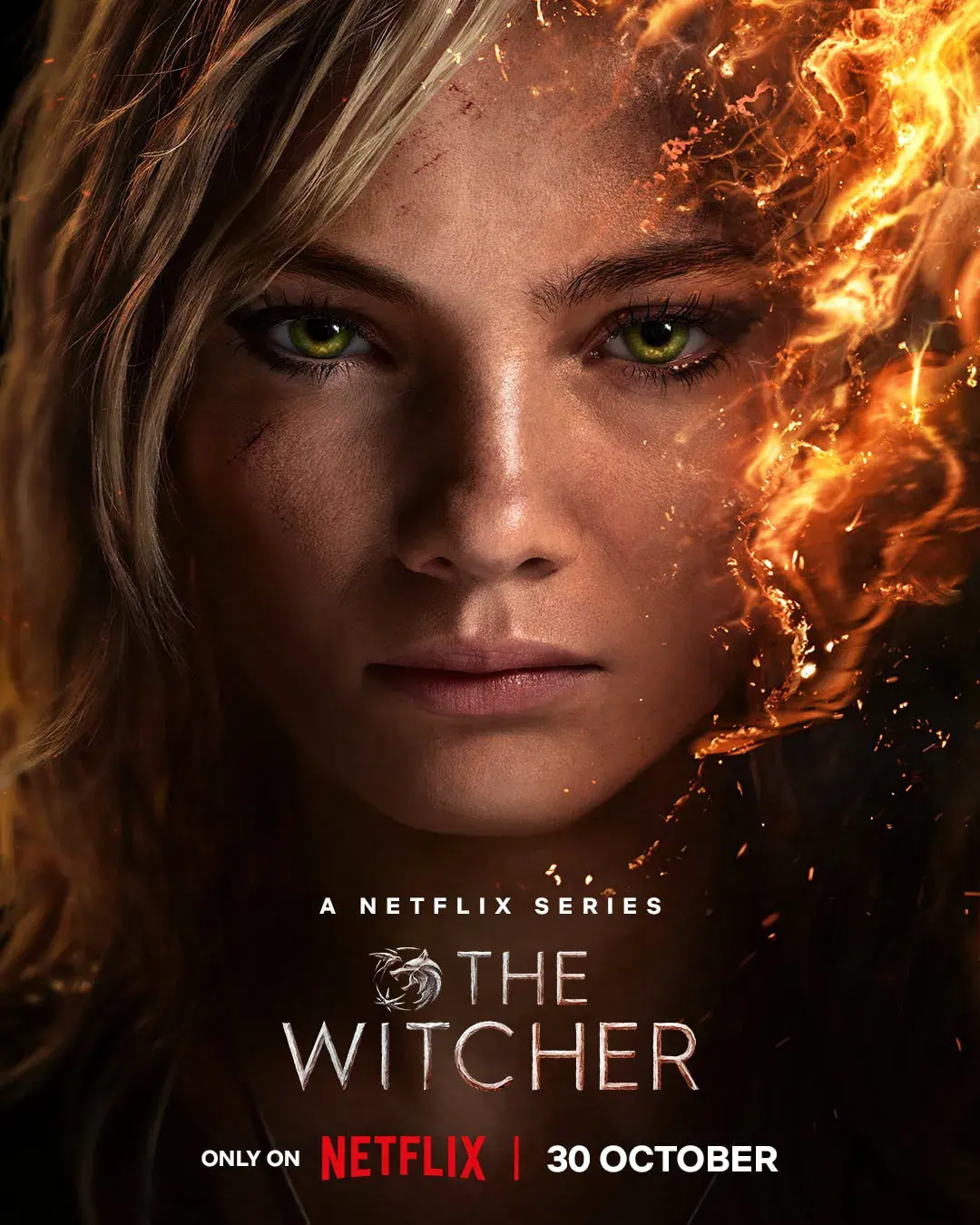 《猎魔人第四季》-资源截图