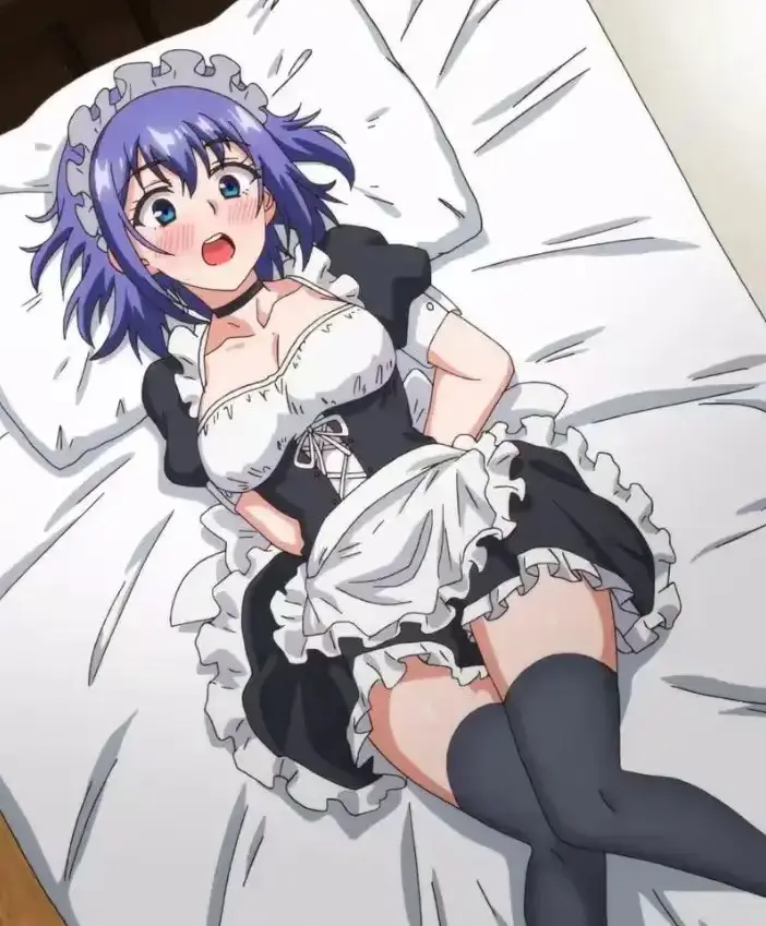 《女仆教育》-资源截图