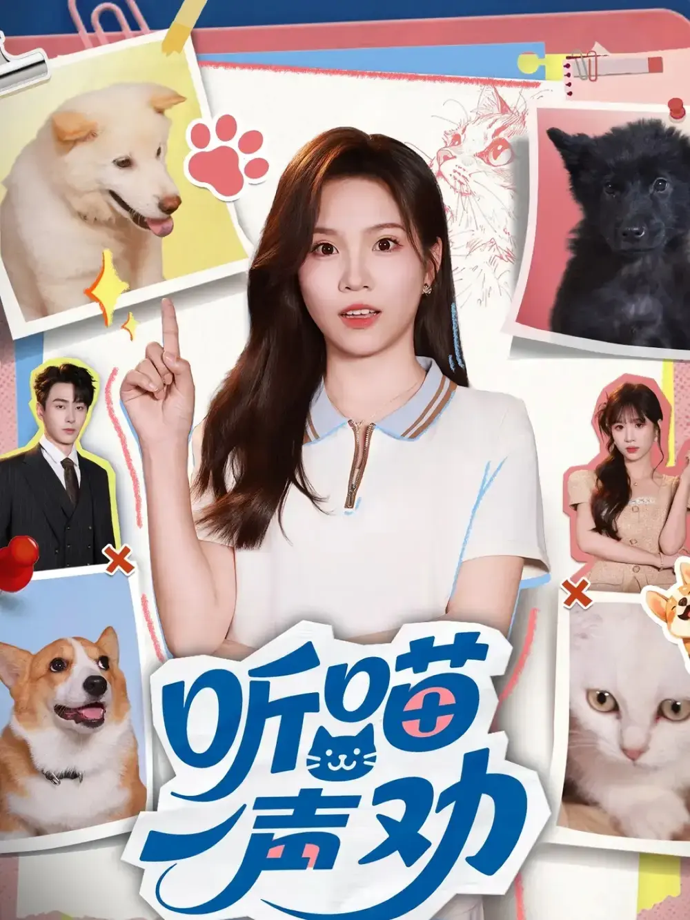 《听喵一声劝》-资源截图