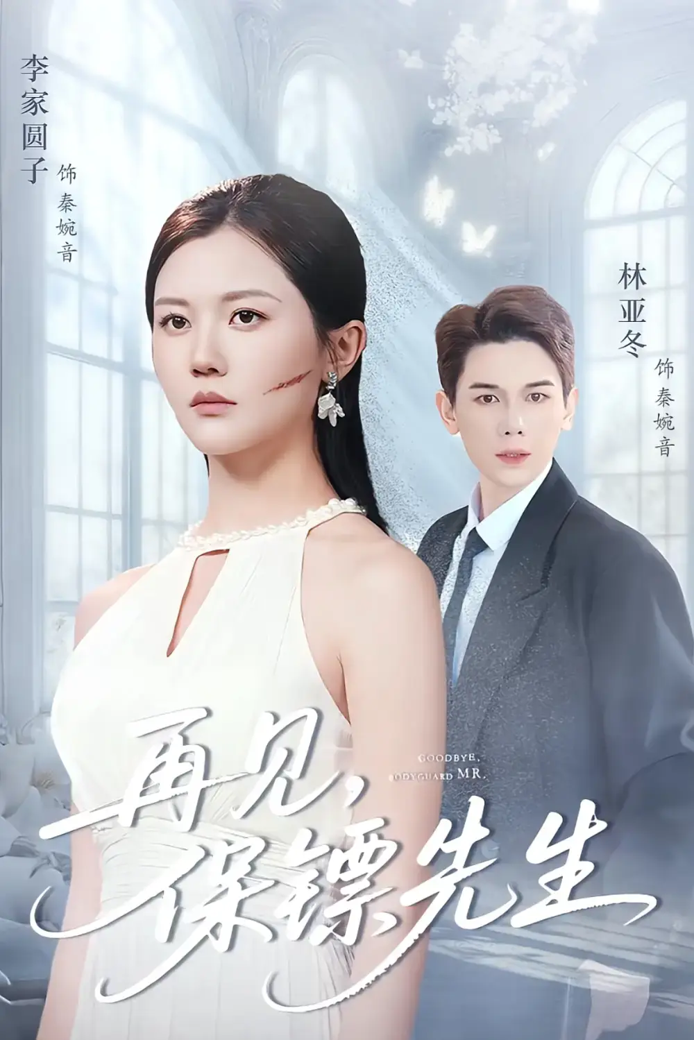 《再见保镖先生》-资源截图