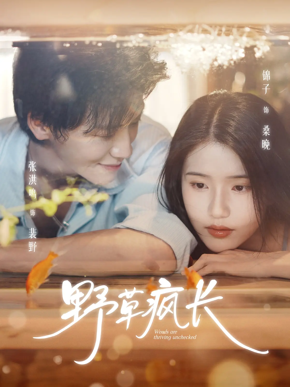 《野草疯长》-资源截图