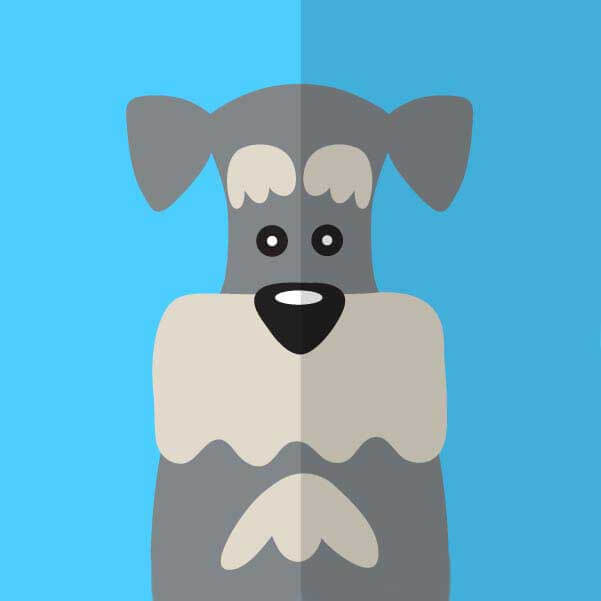 《灵蛇娶亲＆灵蛇新娘》-资源截图