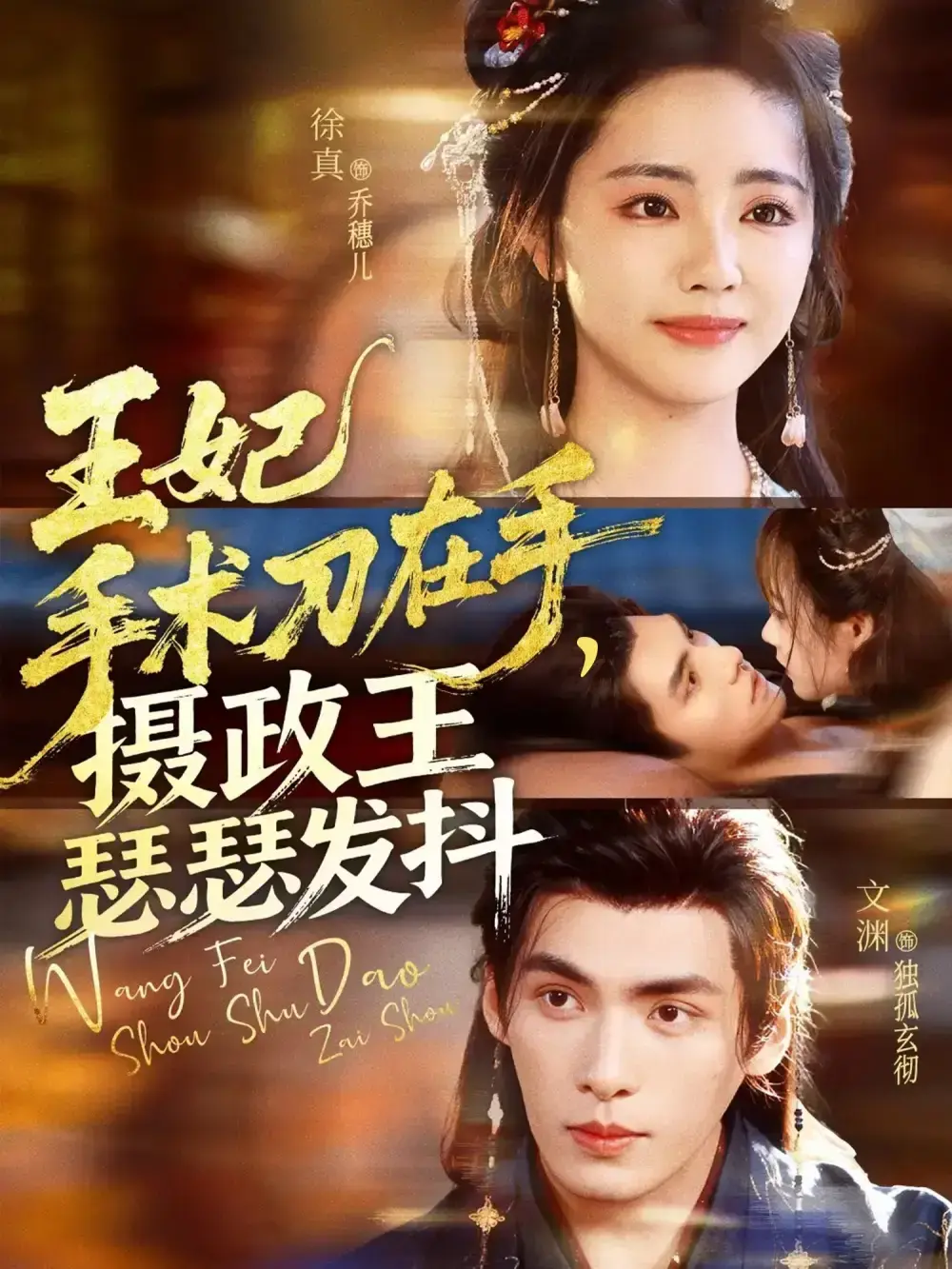 《王妃手术刀在手摄政王瑟瑟发抖》-资源截图