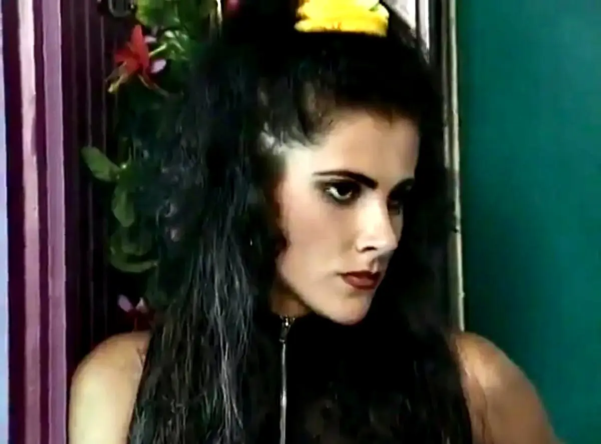 《邮递员先生1981》-资源截图