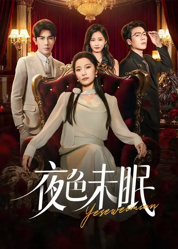 《夜色未眠》-资源截图