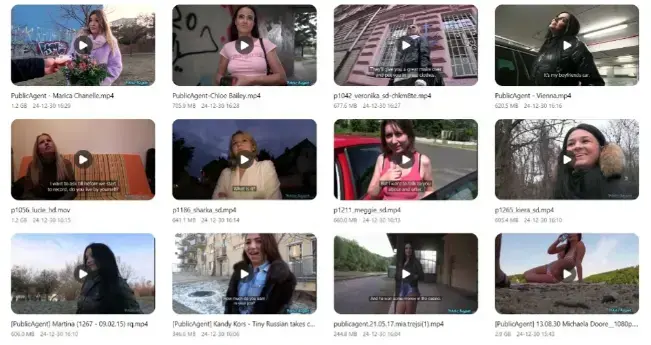 《捷克街头》-资源截图