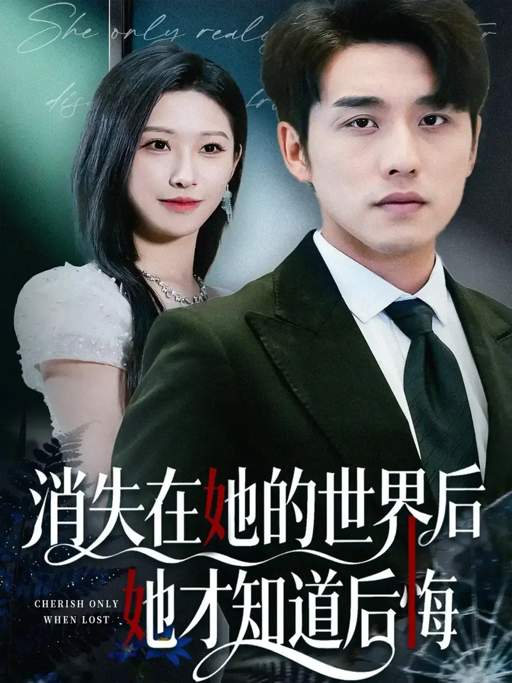 《消失在她的世界后她才知道后悔》-资源截图