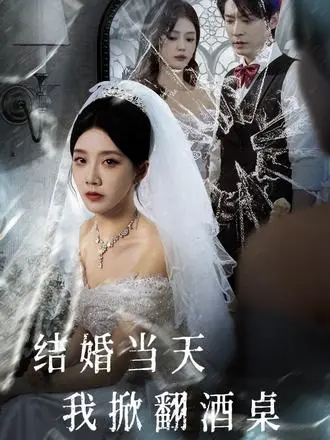 《结婚当天我掀翻酒桌》-资源截图