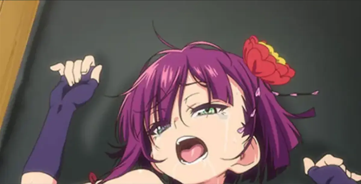 《好色的忠义女忍者牡丹2》-资源截图