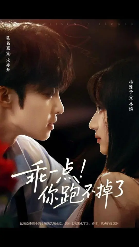 《乖一点!你跑不掉了》-资源截图