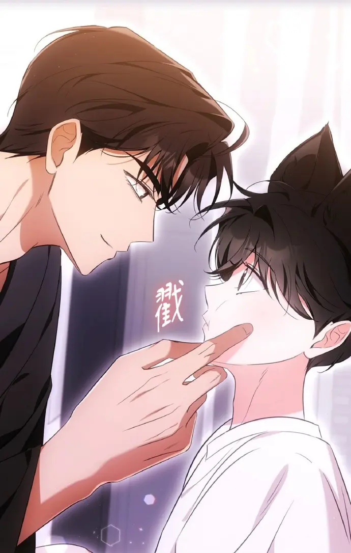 《猫咪疗法》-资源截图