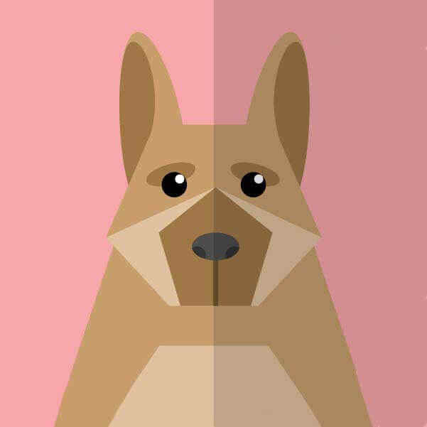 《饼干姐姐》-资源截图