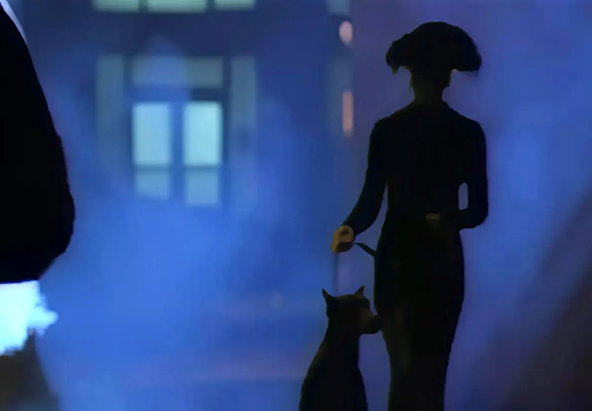 《遛狗者/dogwalker》-资源截图