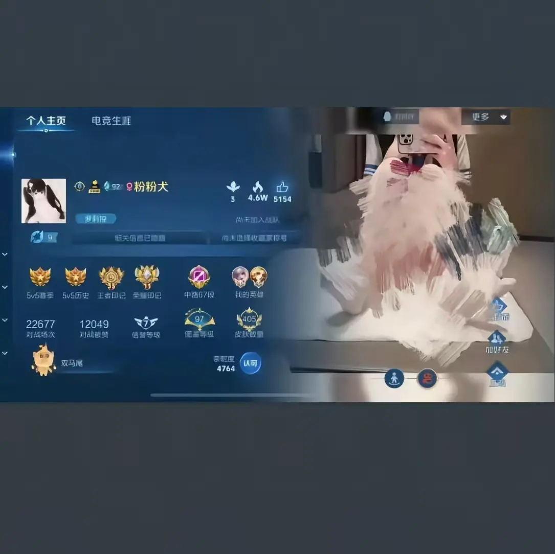 《粉粉犬王者荣耀主页》-资源截图