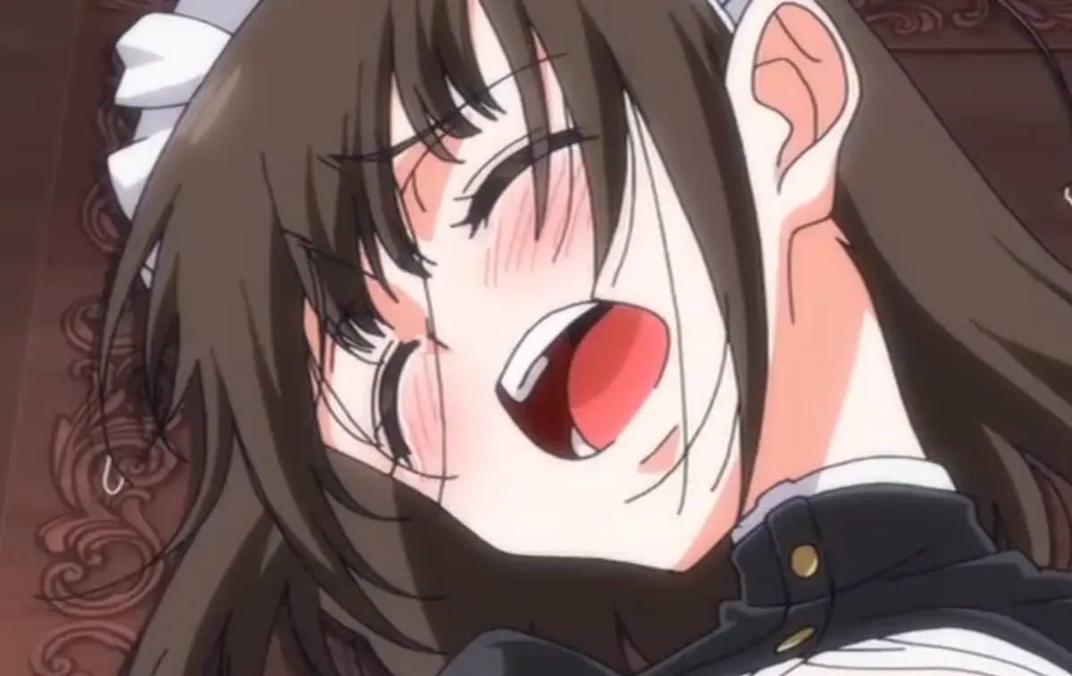 《落魄贵族琉璃川2》-资源截图